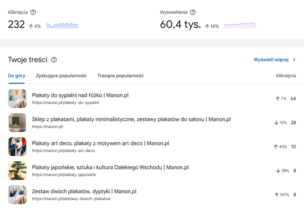 Skuteczność w Google sklepu internetowego Manon