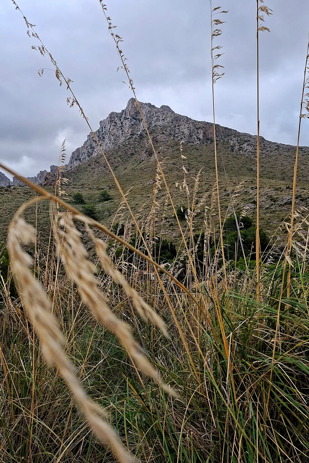 Teneryfa, Hiszpania